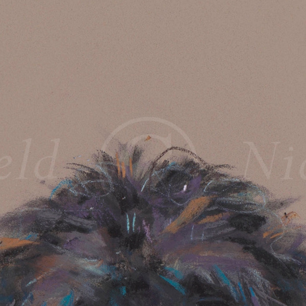 Poppet by Nicky Litchfield, limited edition print, detail