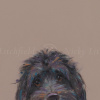 Poppet by Nicky Litchfield, limited edition print