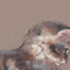 The Feather by Nicky Litchfield, limited edition print, detail
