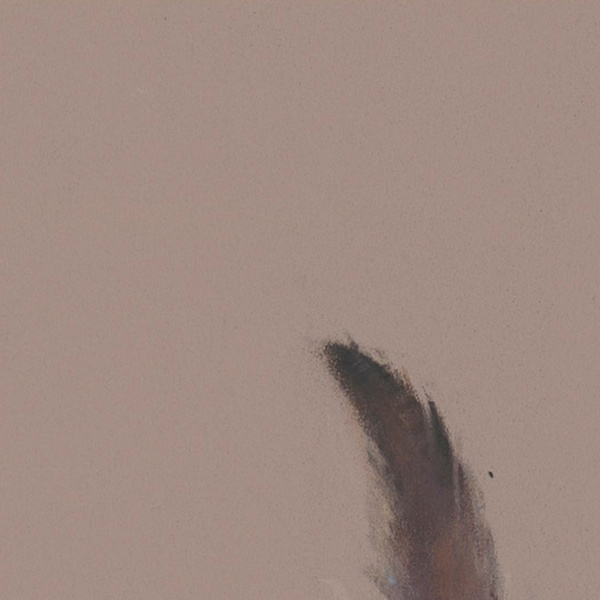 The Feather by Nicky Litchfield, limited edition print, detail