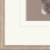 The Feather by Nicky Litchfield, limited edition print, detail