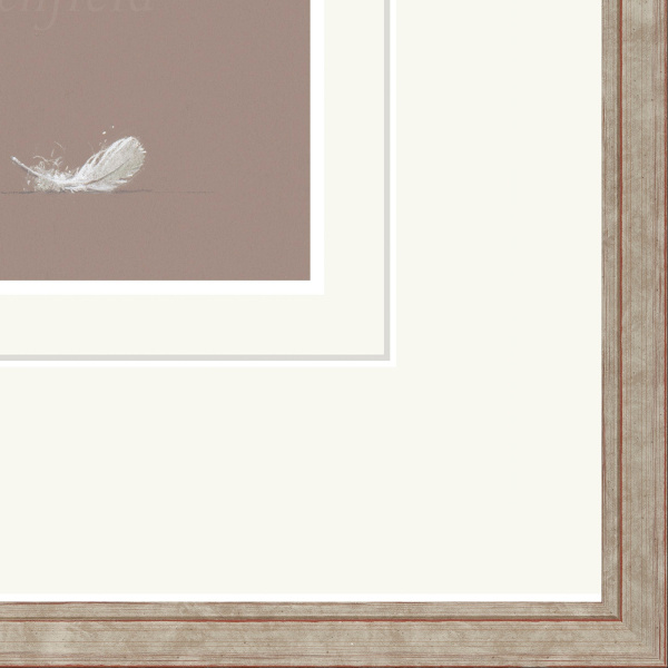 The Feather by Nicky Litchfield, limited edition print, detail