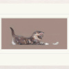 The Feather by Nicky Litchfield, limited edition print