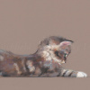 The Feather by Nicky Litchfield, limited edition print