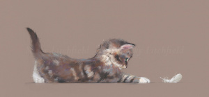 The Feather, Nicky Litchfield