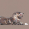 The Feather by Nicky Litchfield, limited edition print
