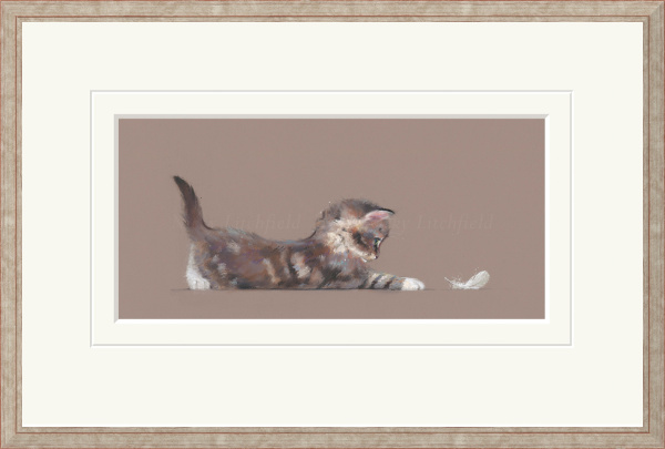 The Feather by Nicky Litchfield, limited edition print