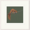 Balancing Act by Nicky Litchfield, limited edition print