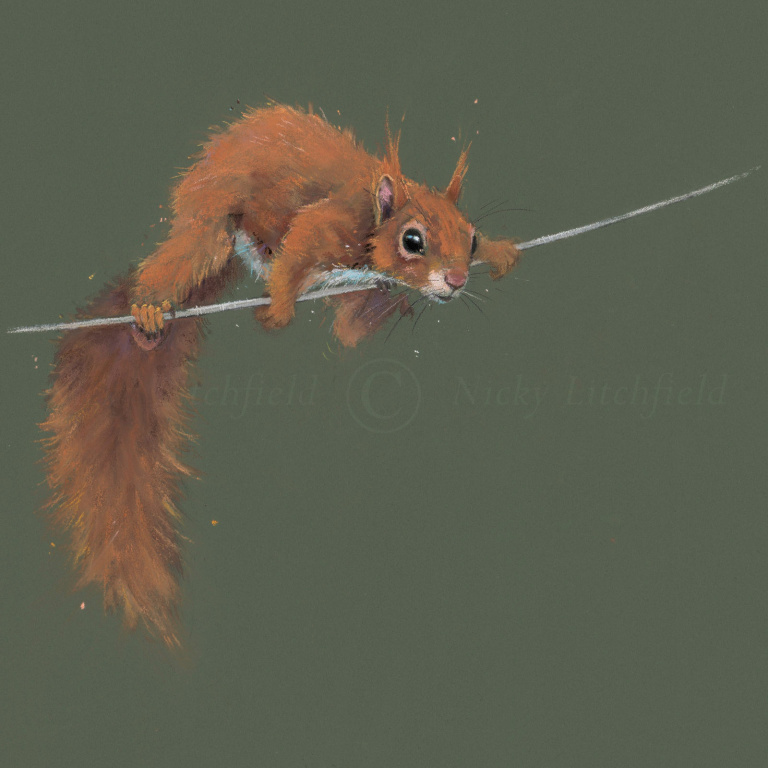Balancing Act