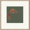 Balancing Act by Nicky Litchfield, limited edition print