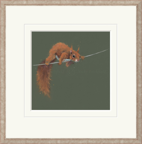 Balancing Act by Nicky Litchfield, limited edition print