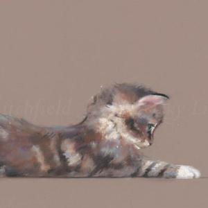 The Feather by Nicky Litchfield, giclée on paper, thumbnail image