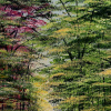 Be Mine by Jay Nottingham, original painting, detail
