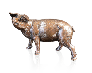 Gloucester Old Spot (1267), Keith Sherwin