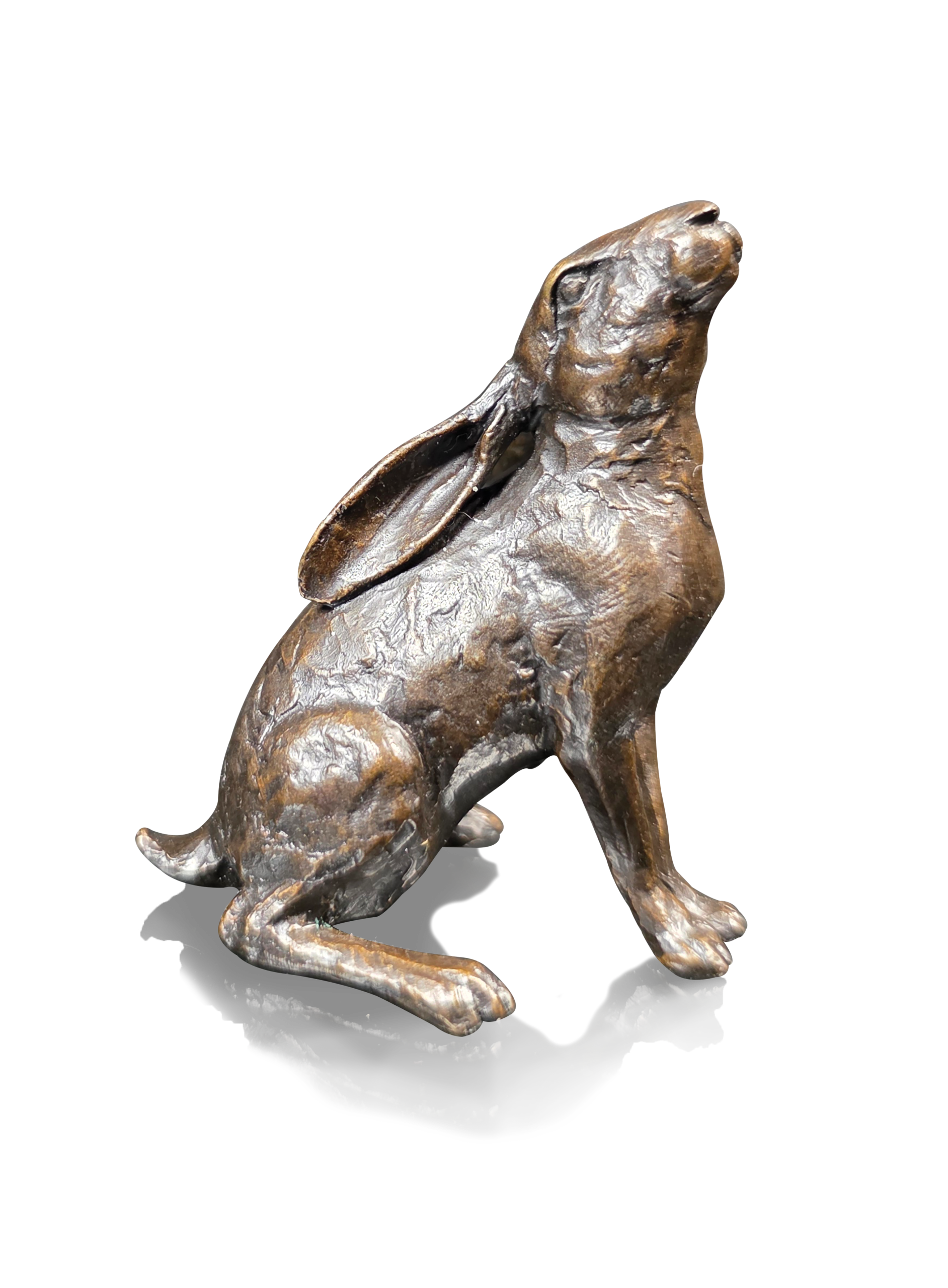 Small Hare Moon Gazing (1232)