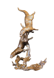 Otters Playing (1280), Dean Kendrick