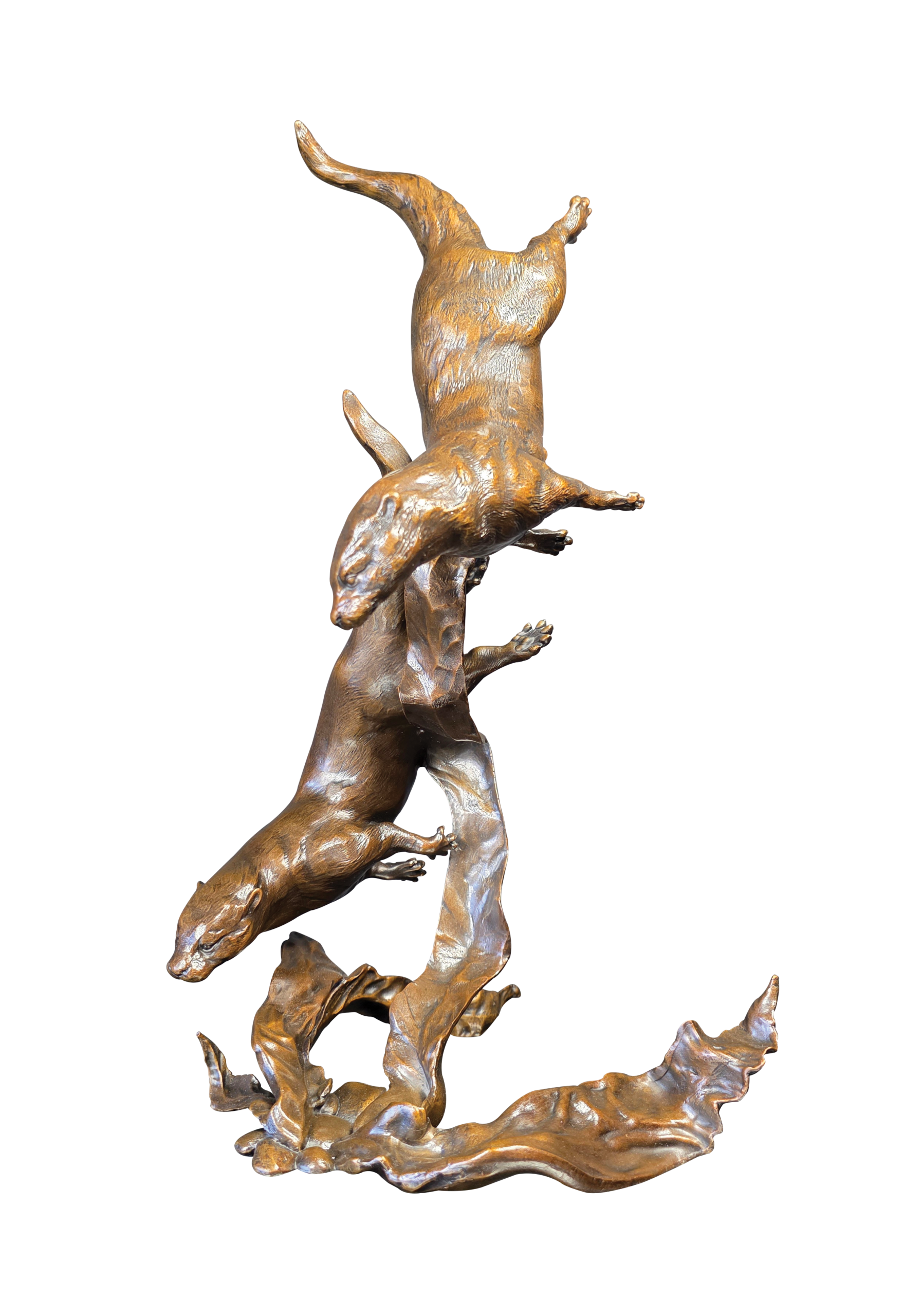 Otters Playing (1280)