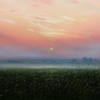Up With The Lark by Ben Payne, original painting, detail