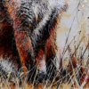 Roxy The Foxy by Ruby Keller, original painting, detail