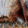 Roxy The Foxy by Ruby Keller, original painting, detail