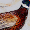 Pheasant, Ash Flash by Ruby Keller, original painting, detail