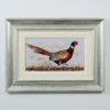 Pheasant, Ash Flash by Ruby Keller, original painting