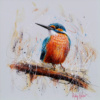 Kingfisher by Ruby Keller, original painting