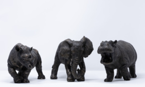 African Wildlife Bundle, Suzie Marsh