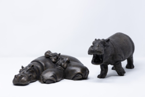 Hippo Bundle, Suzie Marsh