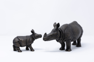 Rhino Bundle, Suzie Marsh