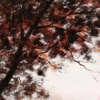 So In Love by Michael Abrams, original painting, detail