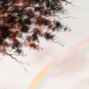 So In Love by Michael Abrams, original painting, detail