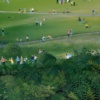 Greenwich Park by Jenni Murphy, limited edition print, detail