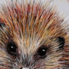 Harry The Hedgehog by Ruby Keller, original painting, detail