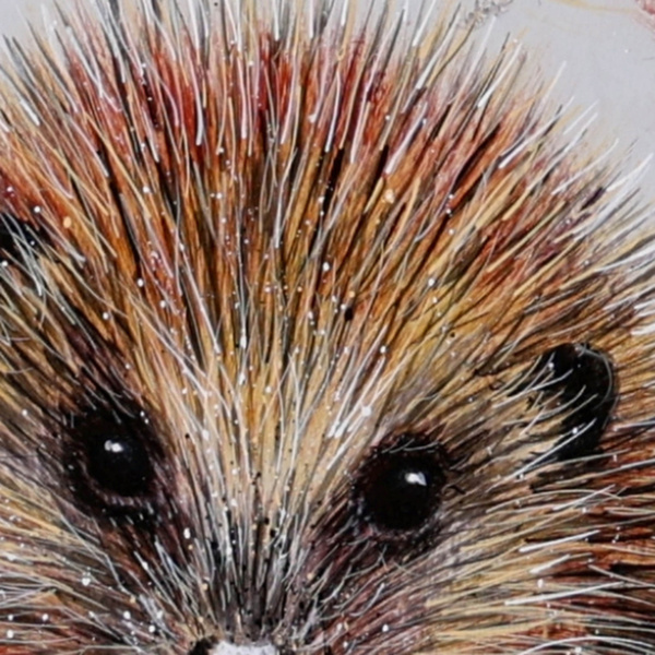 Harry The Hedgehog by Ruby Keller, original painting, detail