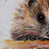 Harry The Hedgehog by Ruby Keller, original painting, detail