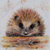 Harry The Hedgehog by Ruby Keller, original painting