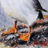 Paola The Puffin by Ruby Keller, original painting, detail