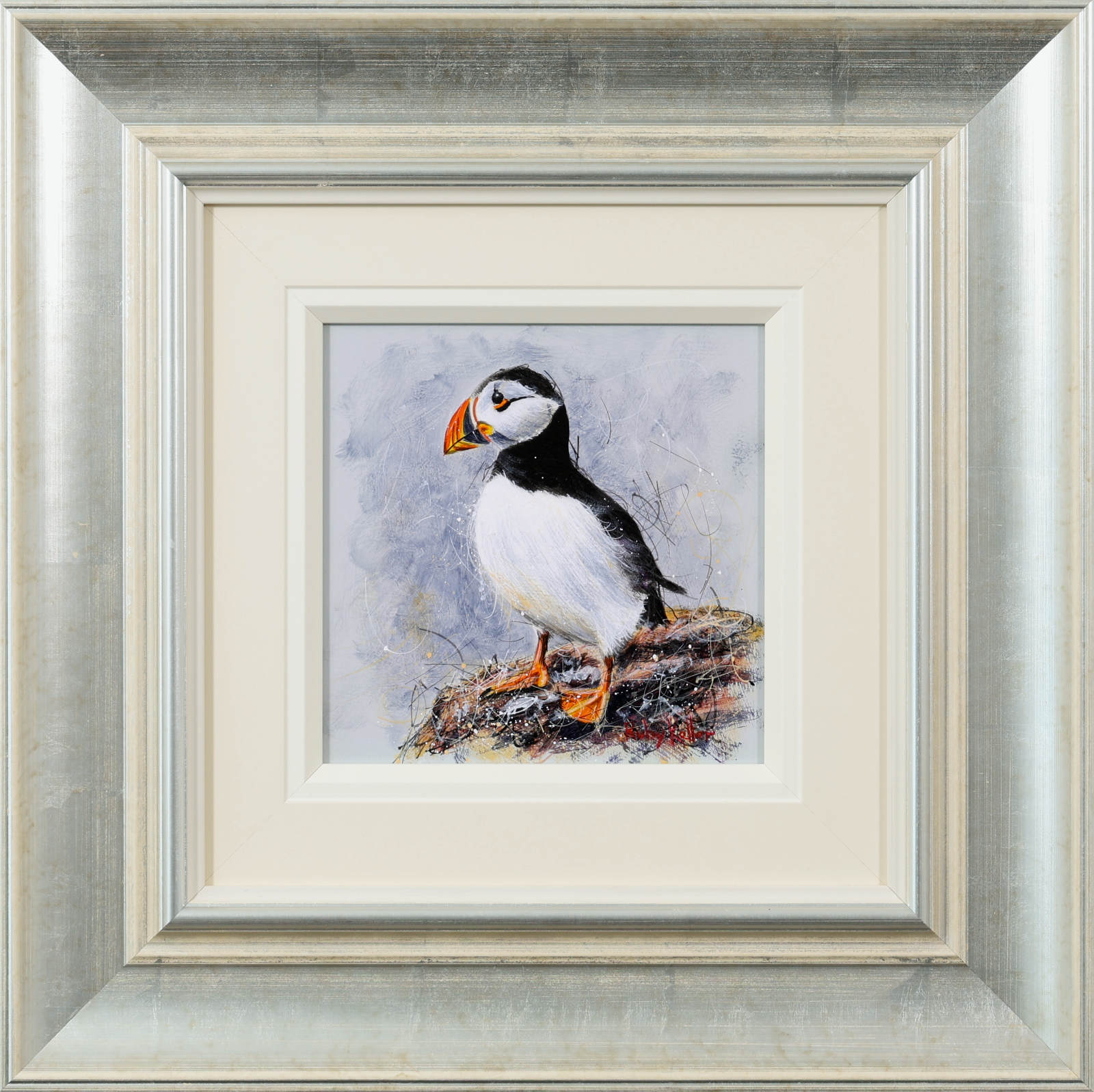 Paola The Puffin