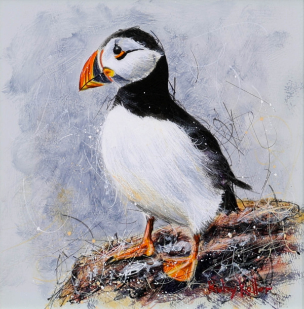 Paola The Puffin by Ruby Keller, original painting