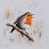 Robbie Robin by Ruby Keller, original painting