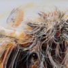 You Were Saying? by Ruby Keller, original painting, detail
