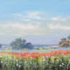 Field Of Poppies by Allan Morgan, original painting