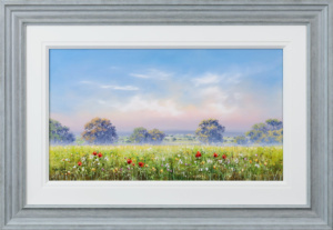 Summer Meadow Light, Allan Morgan