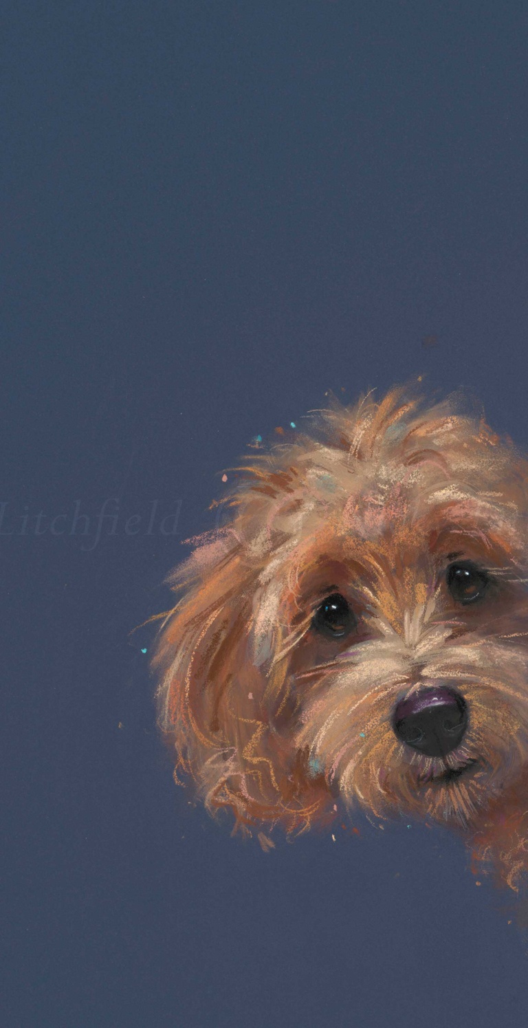 Sneaky Peek