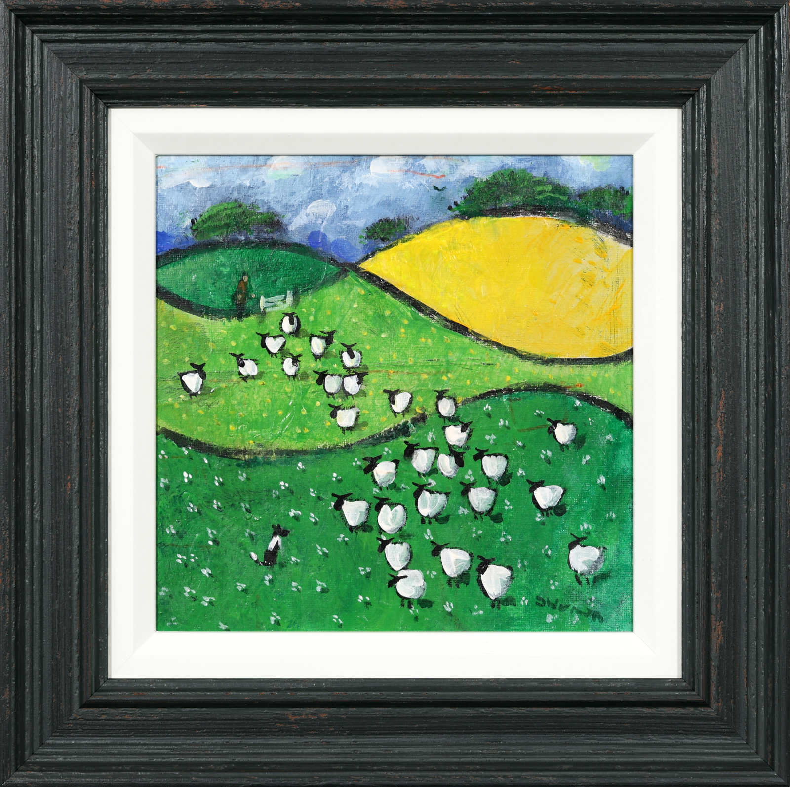 Daisies vs Buttercups