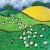 David Alderman — Daisies vs Buttercups (view 10)
