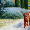 Raffaele Fiore — Tuscan Walk with Labradors Commission (view 12)