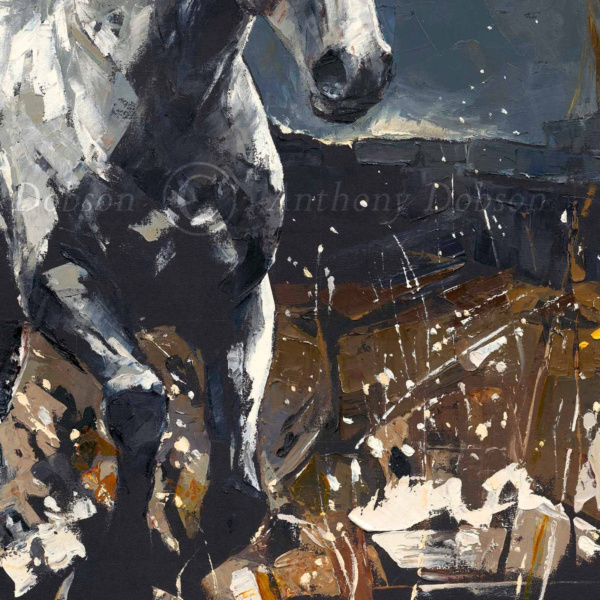 Anthony Dobson — Moon Shadow (view 13)
