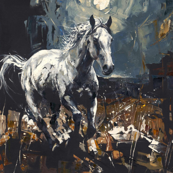 Anthony Dobson — Moon Shadow (view 10)